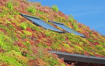 Scraptoft living roof systems