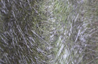 Scraptoft fibreglass roof work